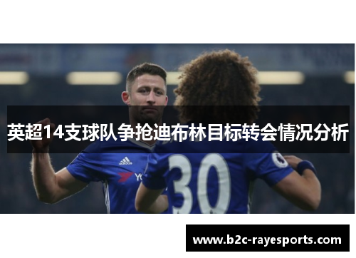 英超14支球队争抢迪布林目标转会情况分析