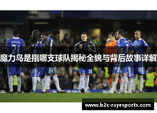 魔力鸟是指哪支球队揭秘全貌与背后故事详解