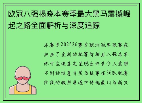 欧冠八强揭晓本赛季最大黑马震撼崛起之路全面解析与深度追踪