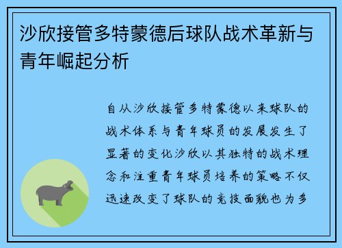 沙欣接管多特蒙德后球队战术革新与青年崛起分析 沙欣接管多特蒙德后球队战术革新与青年崛起分析
