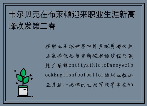 韦尔贝克在布莱顿迎来职业生涯新高峰焕发第二春 韦尔贝克在布莱顿迎来职业生涯新高峰焕发第二春